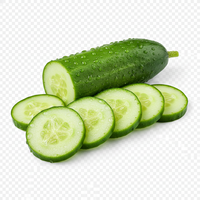 Cucumber
