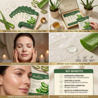 Shabique Aloe Vera 7-day glow routine sheet mask — skincare lifestyle